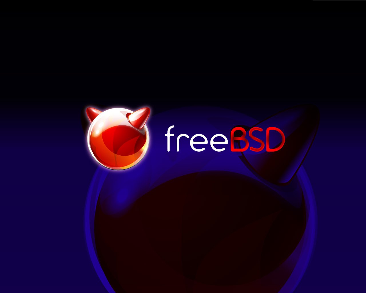Обслуживание сервера на базе Free BSD
